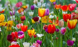 Featured image of post On being looked after