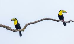 Featured image of post That heinous one