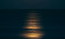 Featured image of post The trust test